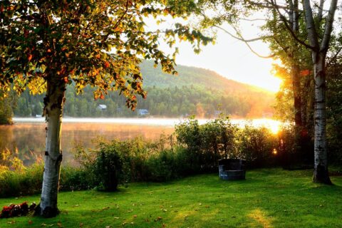 Auringonlasku järven taakse, etualla koivu ja nurmikko.